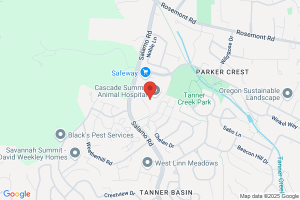 Summit Chiropractic & Massage