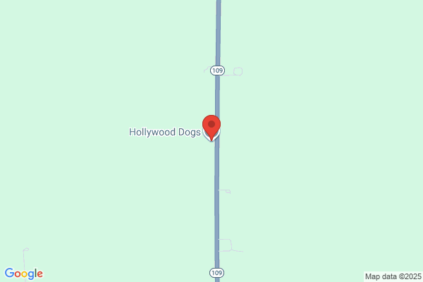 Hollywood Dogs