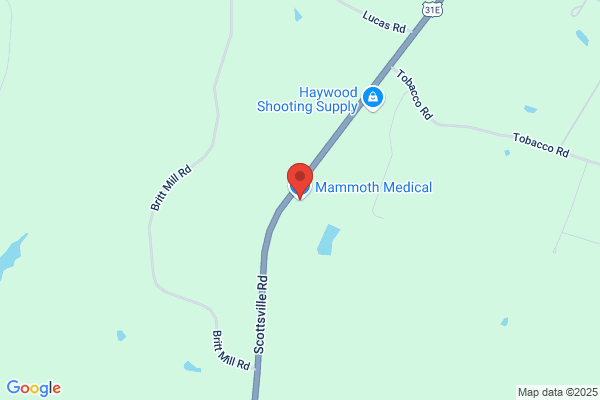Mammoth Medical Inc