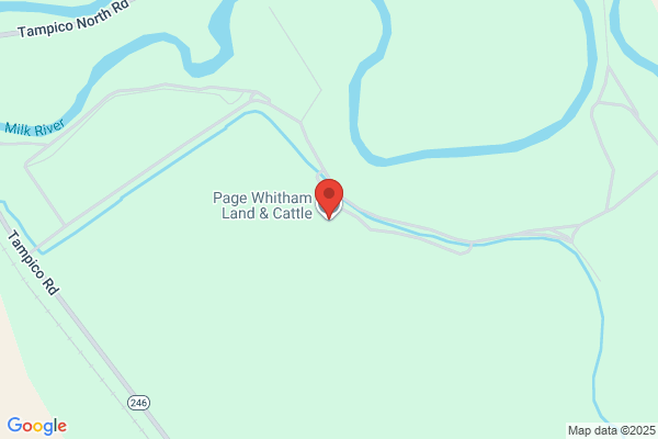 Page Whitham Land & Cattle