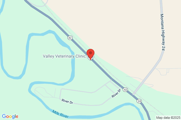 Valley Veterinary Clinic Brown John Lee DVM
