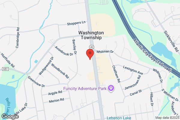 Tammy's Exclusive Pain Free Hair Xtensions