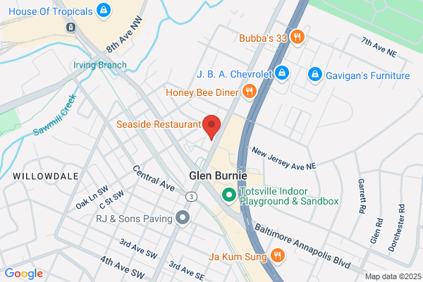 Precision Laser Joint and Spine Pain Center