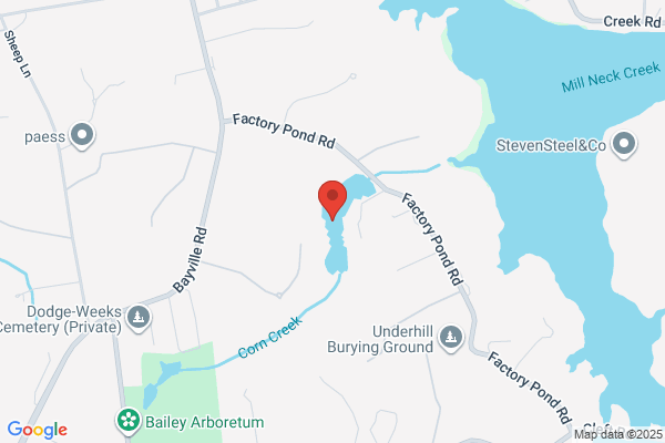 Lattingtown Ponds