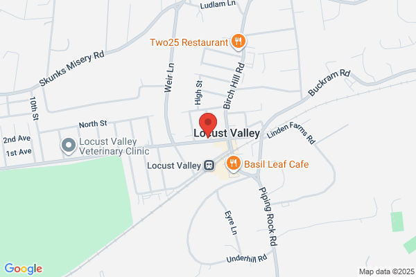 Locust Valley Chemists