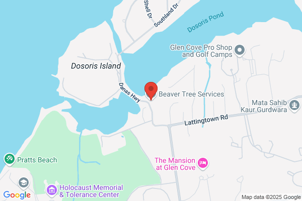 Beaver Tree Services