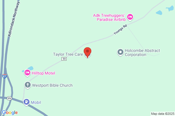 Taylor Tree Service