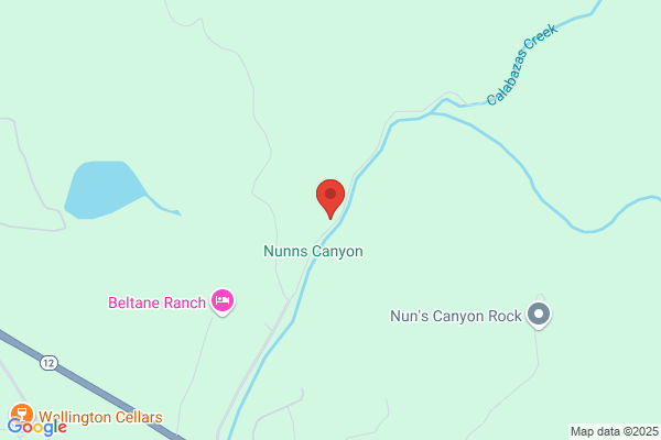 North Coast Forest