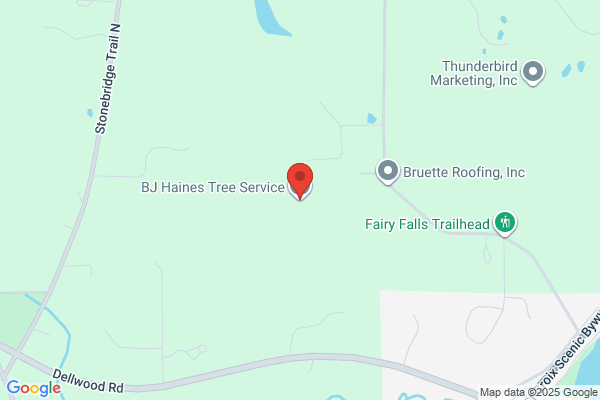 B Haney & Sons Tree Care