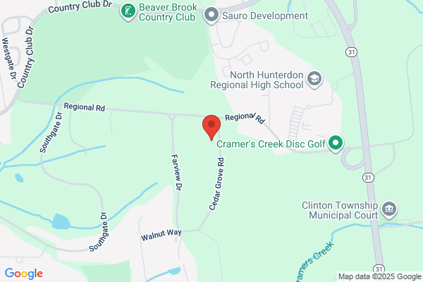 Birdsall Tree & Stump Removal Service