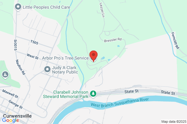 Arbor Pro's Tree Service