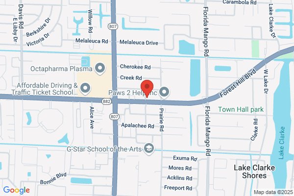 GT Auto Repair, Inc