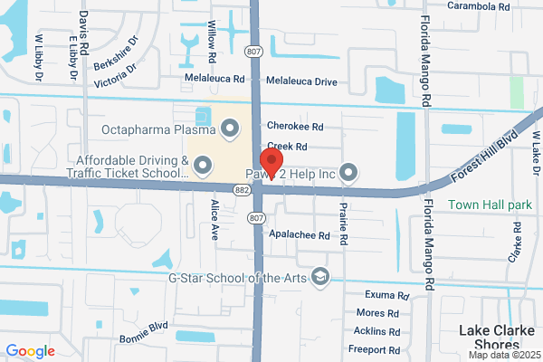 Computerage of Palm Beach Inc