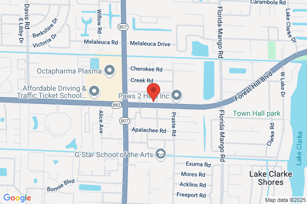 Datena Motors Inc