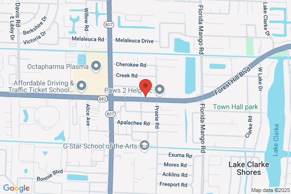 Florida Auto Upholstery and Trim