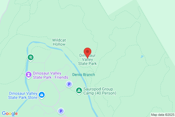 Dinosaur Valley State Park