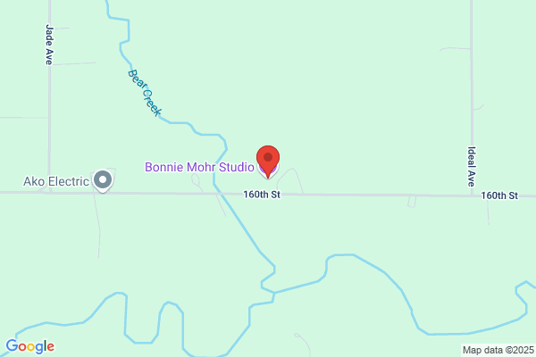 Bonnie Mohr Studio