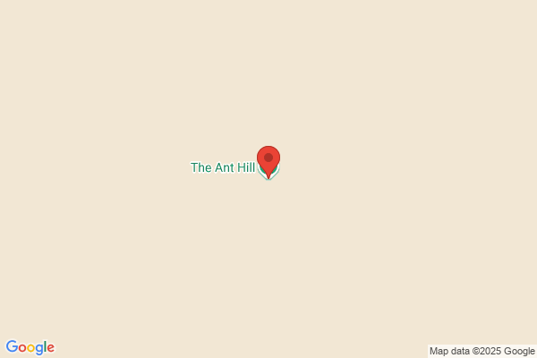 Ant Hill