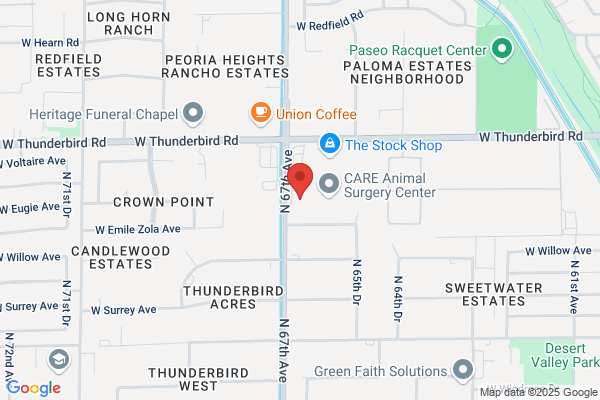 No Appointment MD