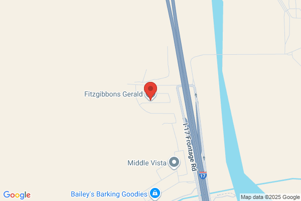 Fitzgibbons Gerald CPA