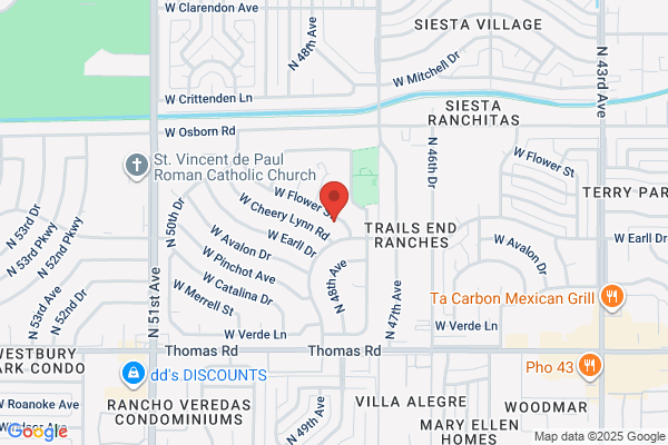 Gonzalez Tree & Palm Tree Trimming Service