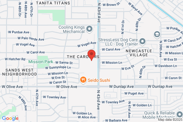 Desert Pawn Brokers