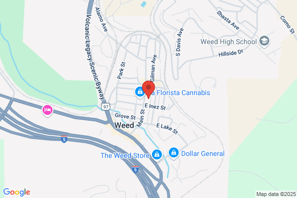 Weed Bros Collective