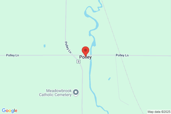 Polley Terry L
