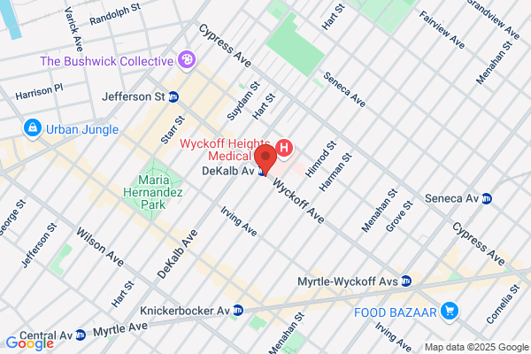 Wyckoff Ave 99 Cents Store