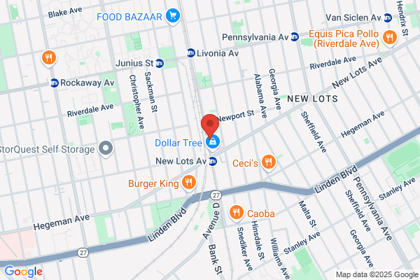 New Lots Deli & Grill