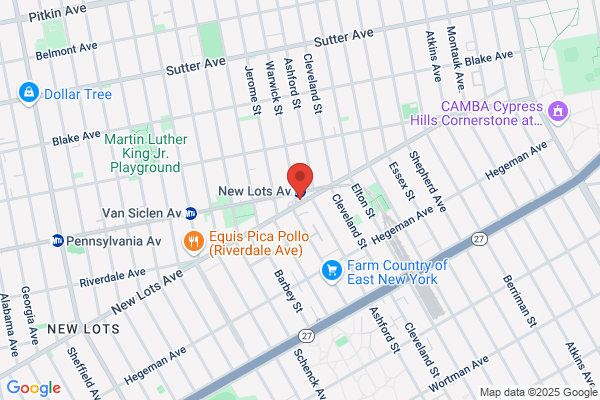 New Lots Pharmacy Inc