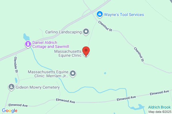 Massachusetts Equine Clinic