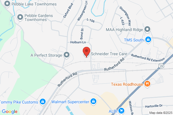 Schneider Tree Service