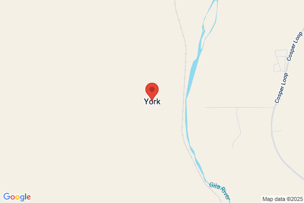 Arizona York