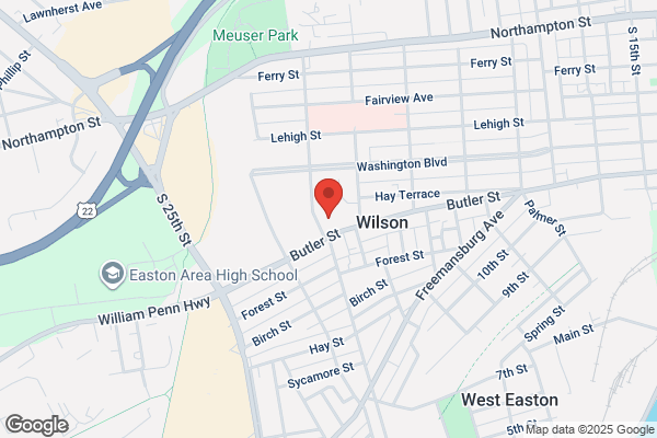 Wilson Area School District, Wilson Area High School