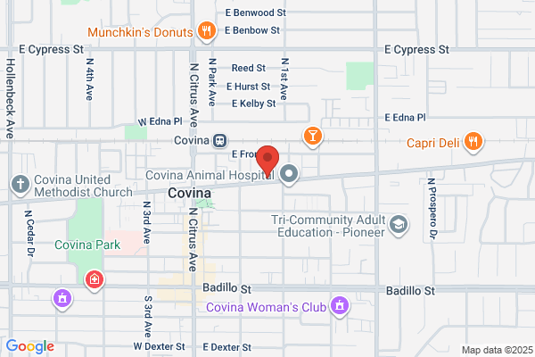 Hendrickson Automotive