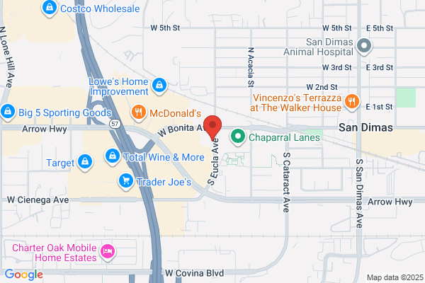 Hollywood Video
