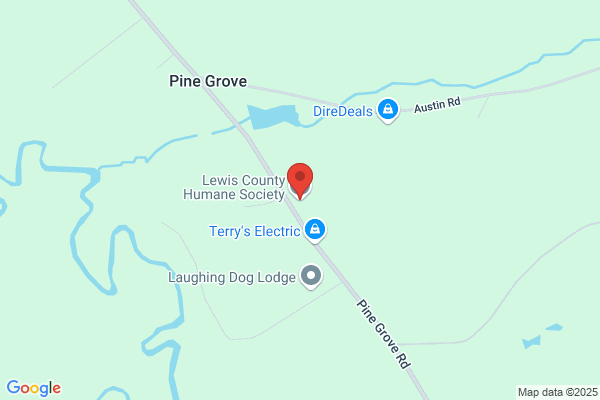 Lewis Co Humane Society