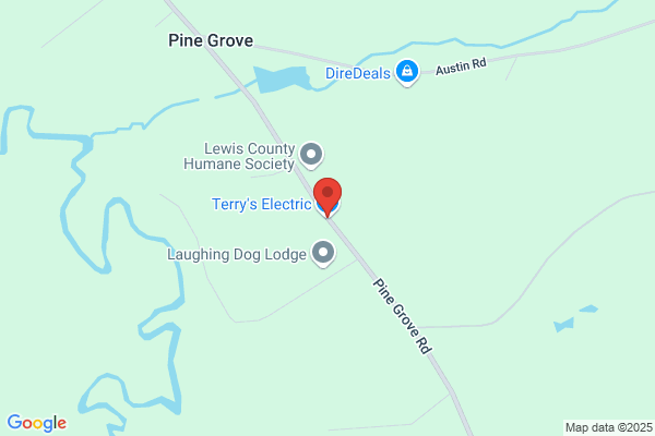 Terry's Electric