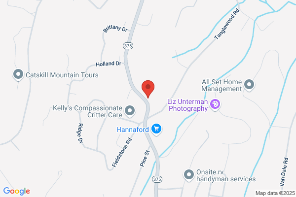 Trailways Flag Stop