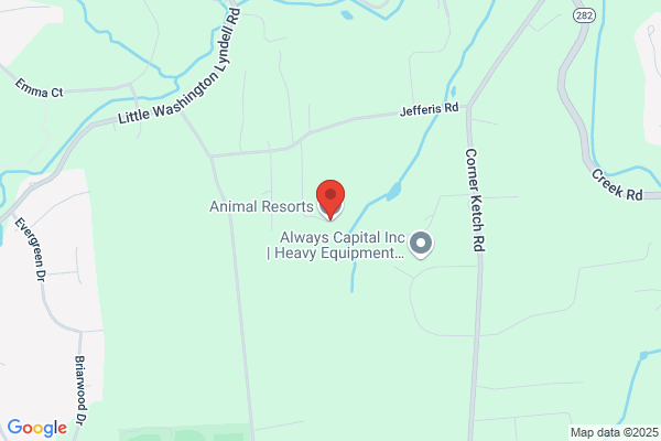 Animal Resorts