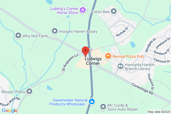 Ludwig's Village Dental