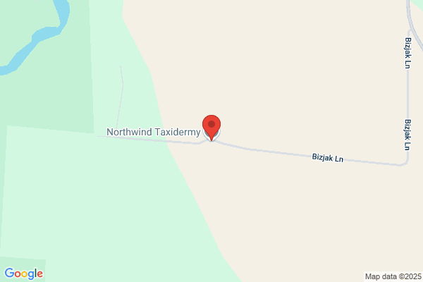 Northwinds Taxidermy