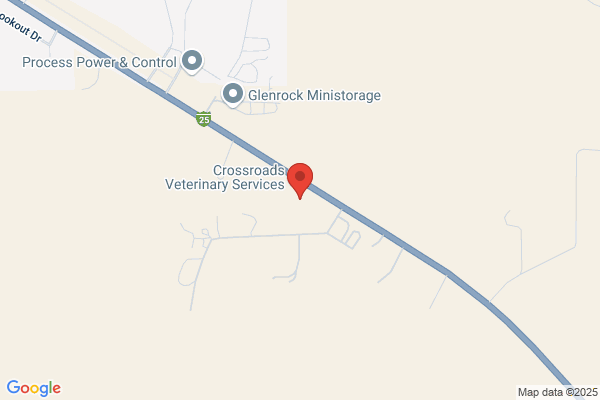 Central Wyoming Veterinary Services