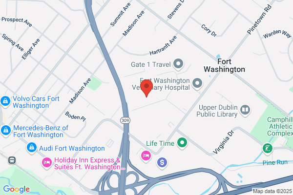 Upper Dublin Pediatric Dentistry