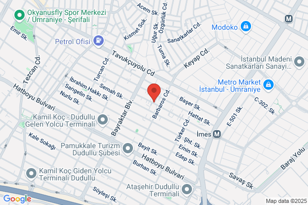 Orion Electric