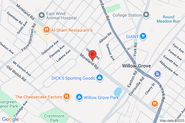 &pizza - Willow Grove