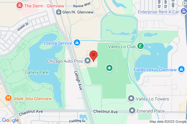 Cook County Demolition Sales