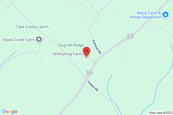 Wellspring Farm Inc