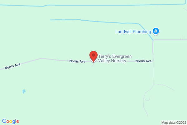 Terry's Evergreen Valley Nursery